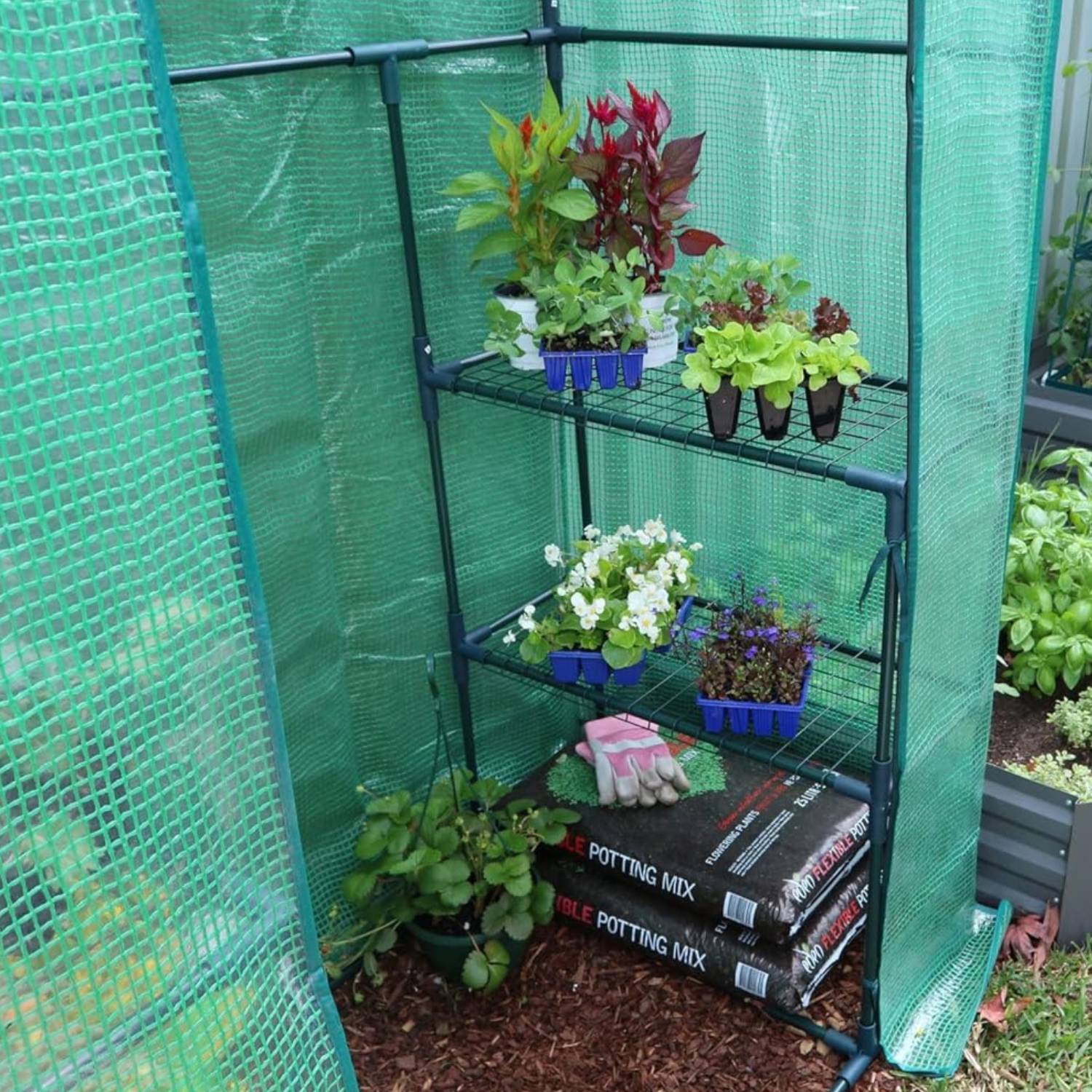 Walk-In Greenhouse: image 3