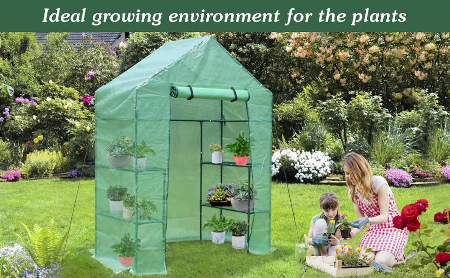 Walk-In Greenhouse: image 7