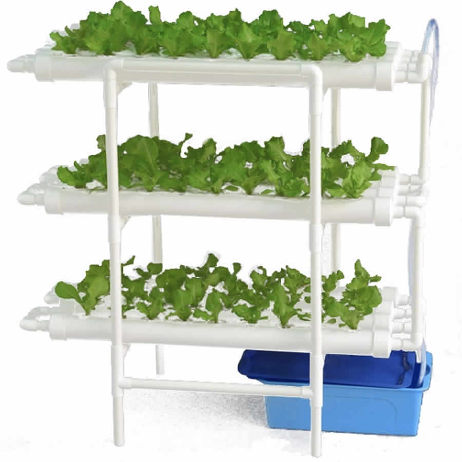 Home Hydroponic Kit - 36 Cup System: image 14