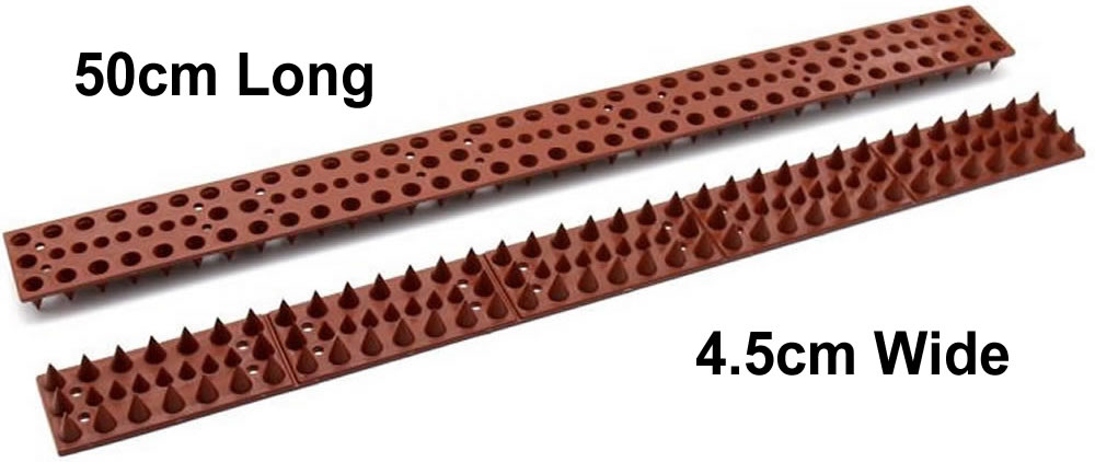 Fence Spikes: image 7