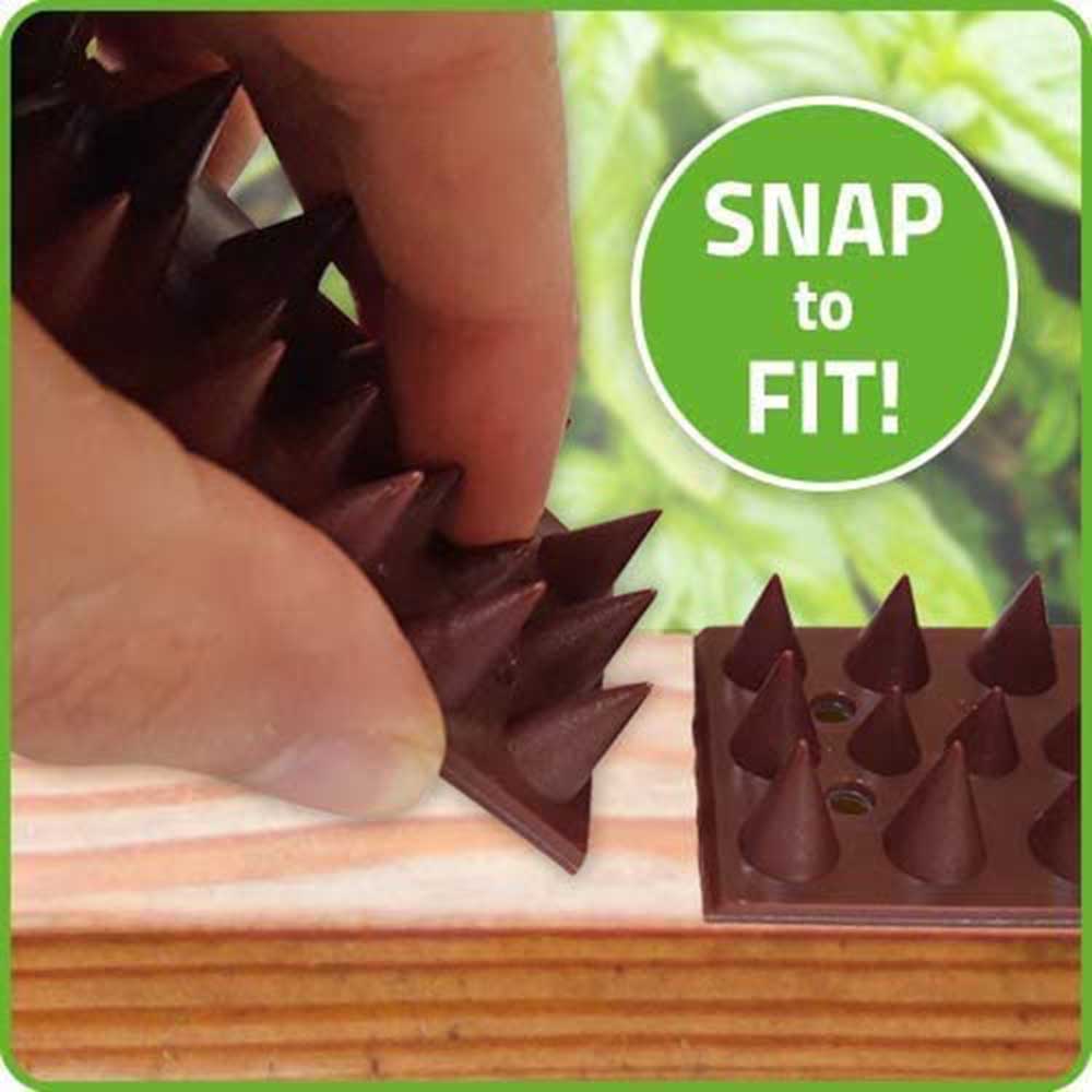 Squirrel Deterrent Spike Strip: image 4