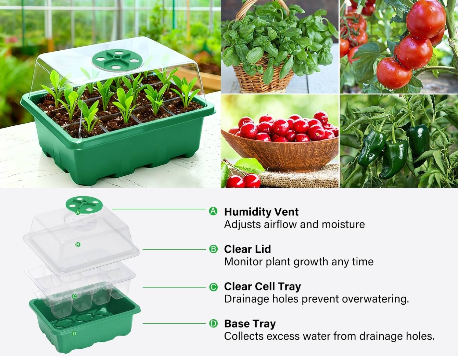 Starter Trays For Seeds: image 12