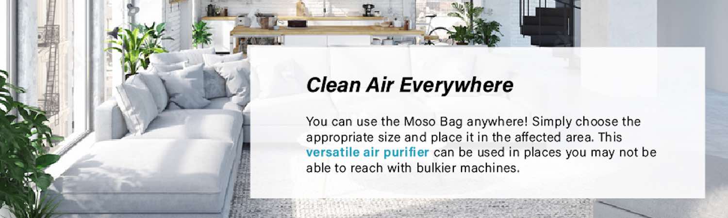 Air Purifying Bag - Single Bag (x1): image 12