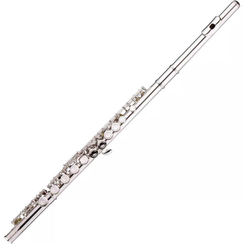 Instrument Flute: image 3