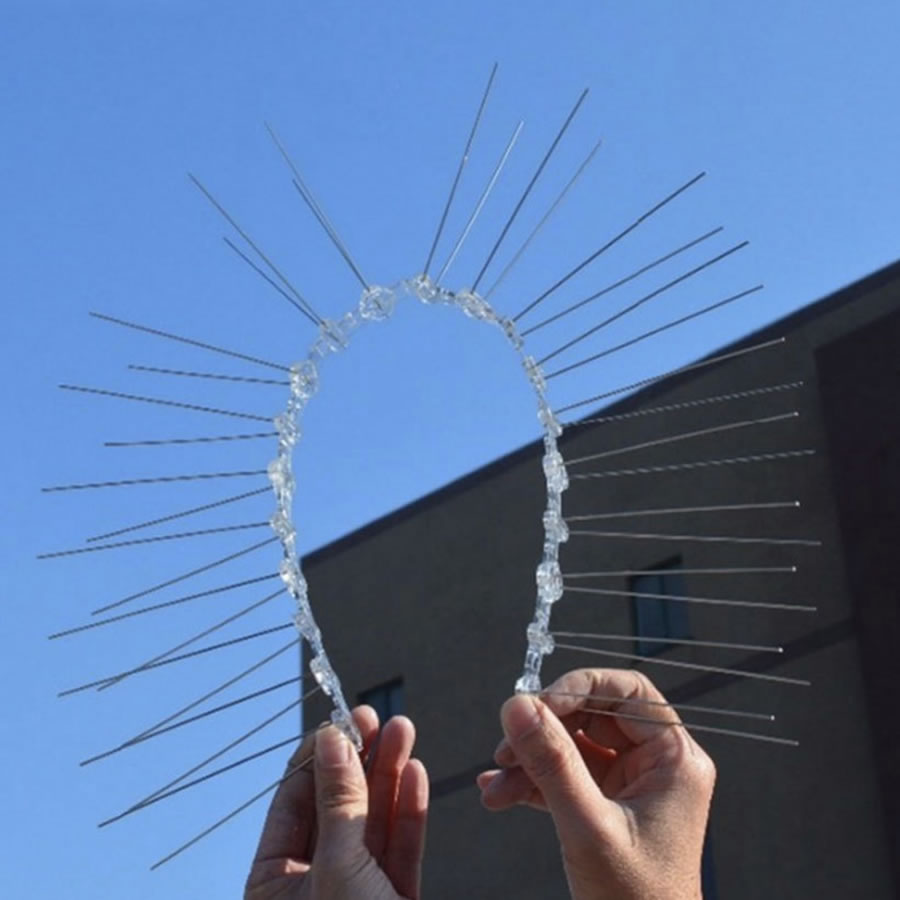 Bird Pigeon Spikes: image 3