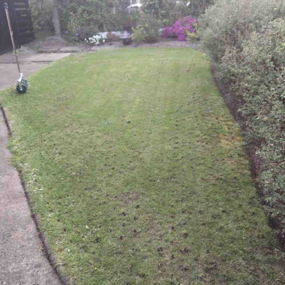 Rolling Aerator: image 12
