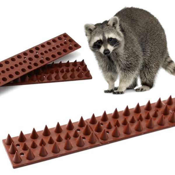 raccoon spikes
