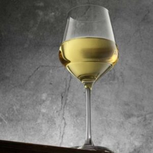buy shatterproof white wine glass